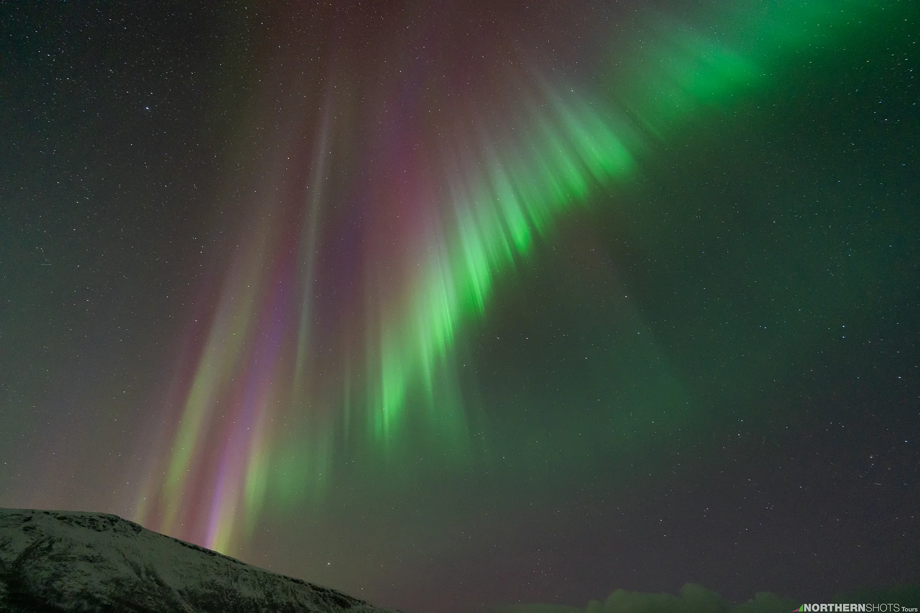 The best northern lights tours in Tromso