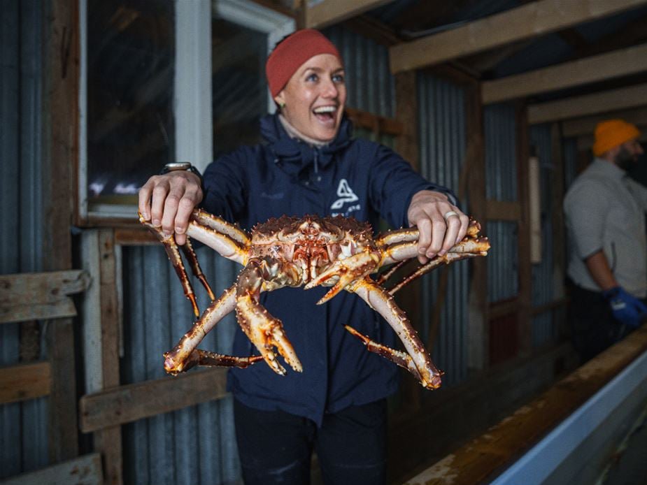 King Crab Tasting Tromso and Alta