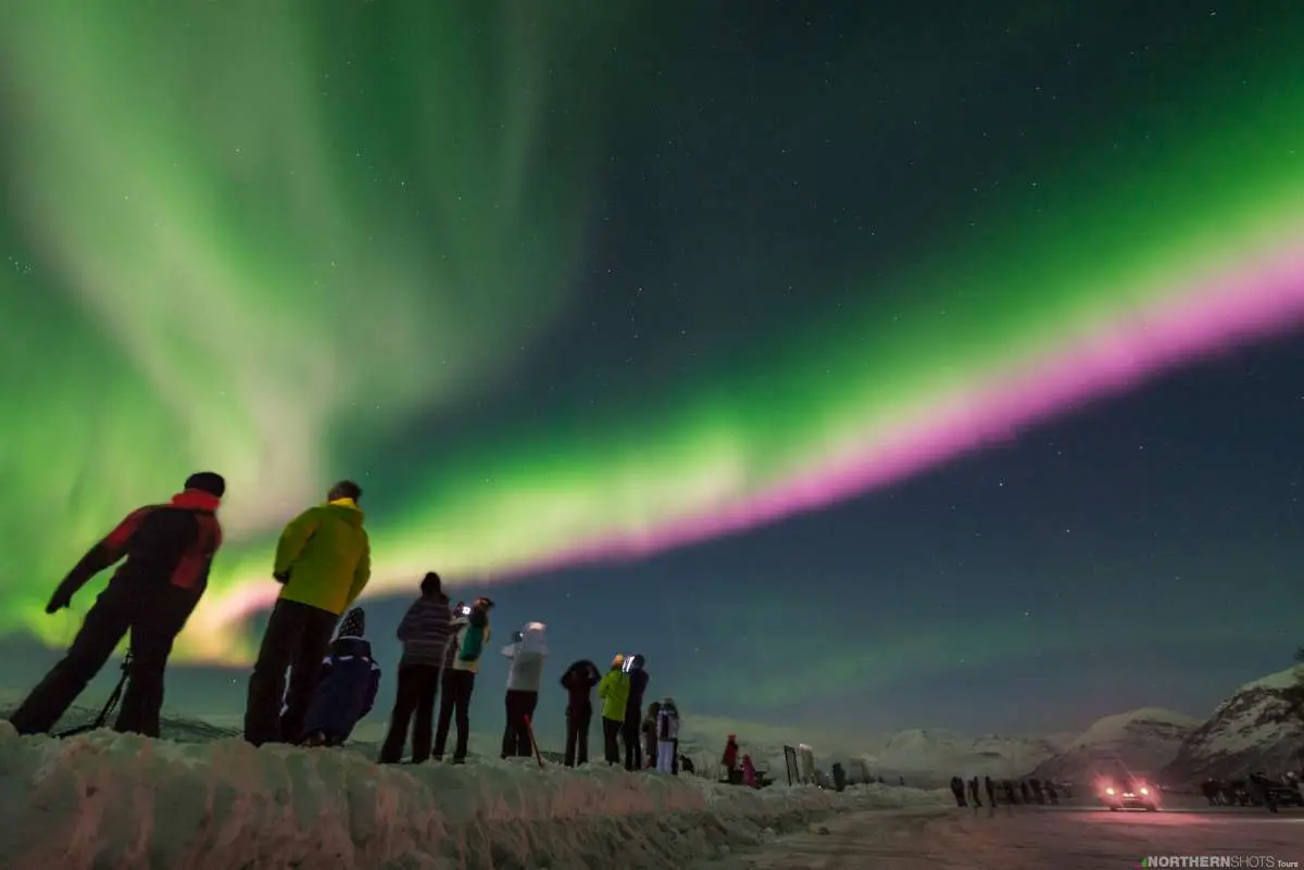 Guests lined up with tripods and camera gear under a night sky lit by pink and green Northern Lights.