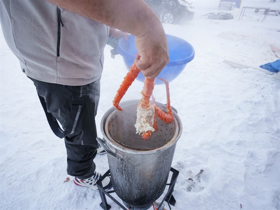 King Crab Tasting Tromso and Alta