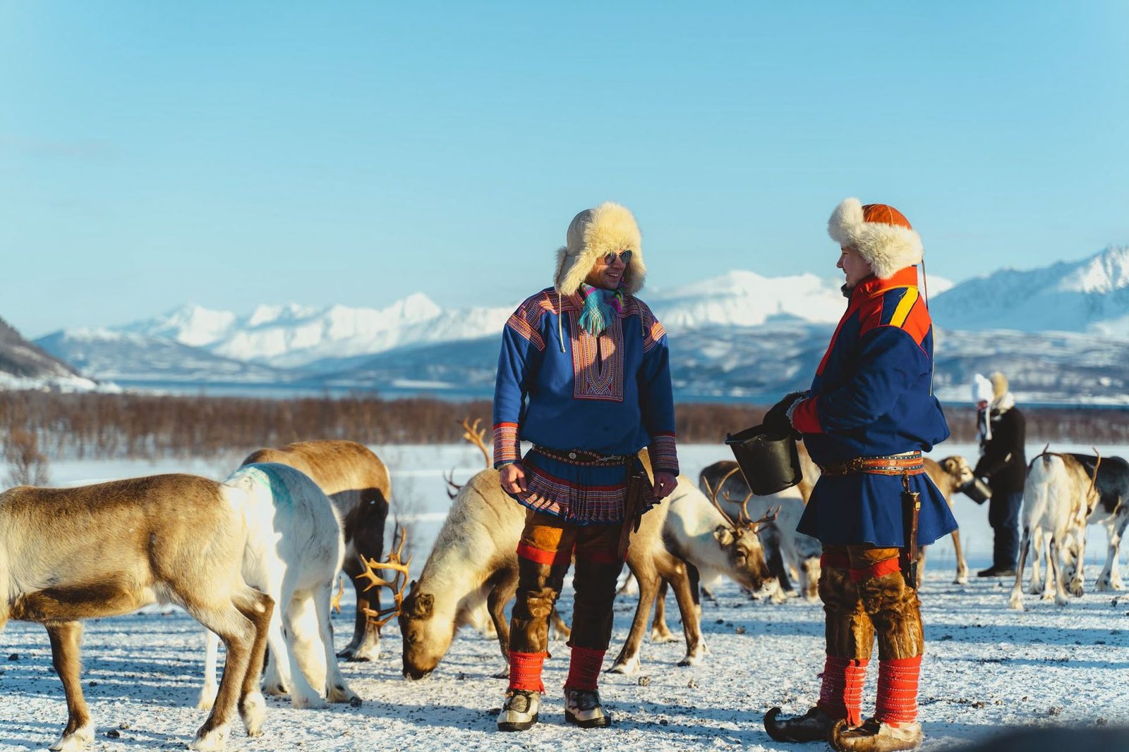 Reindeer visit
