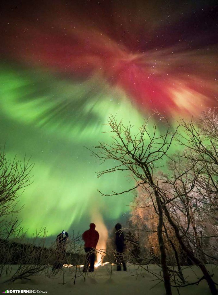 Guests stand around a campfire in a snowy forest watching red and green auroras burst across the sky.
