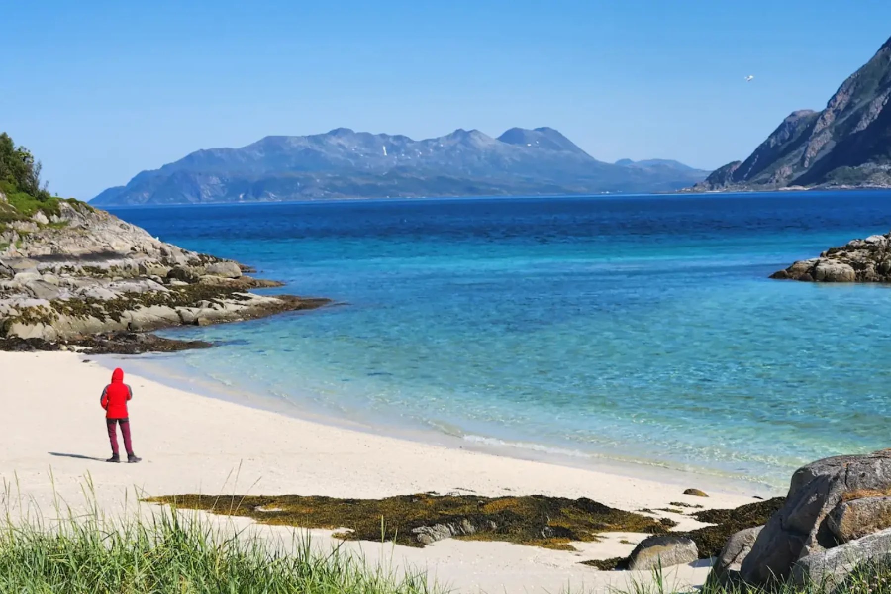 Sightseeing Fjord Photo Tour
