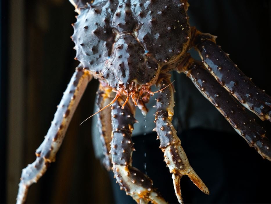 King Crab Tasting